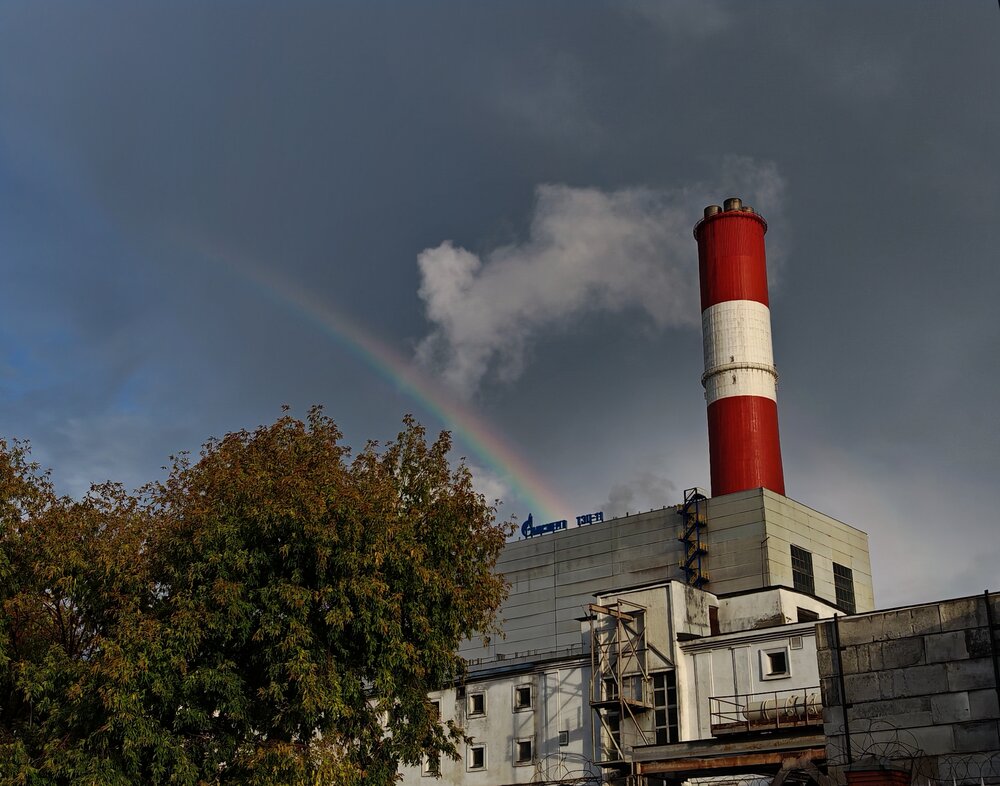 Photograph by Наталья Половая