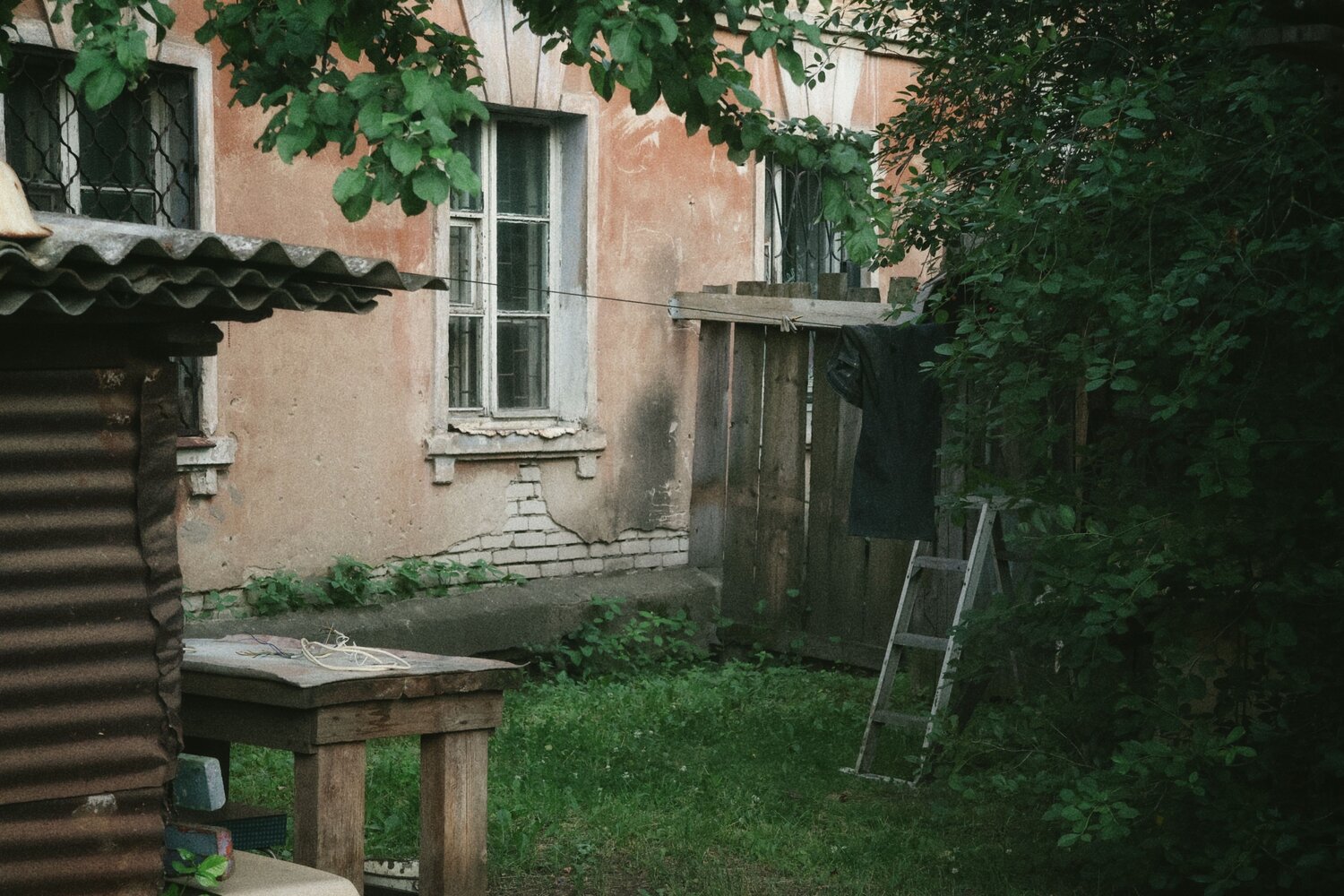 Фотография #13979857