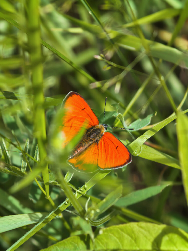 Photograph by Олеся Новикова