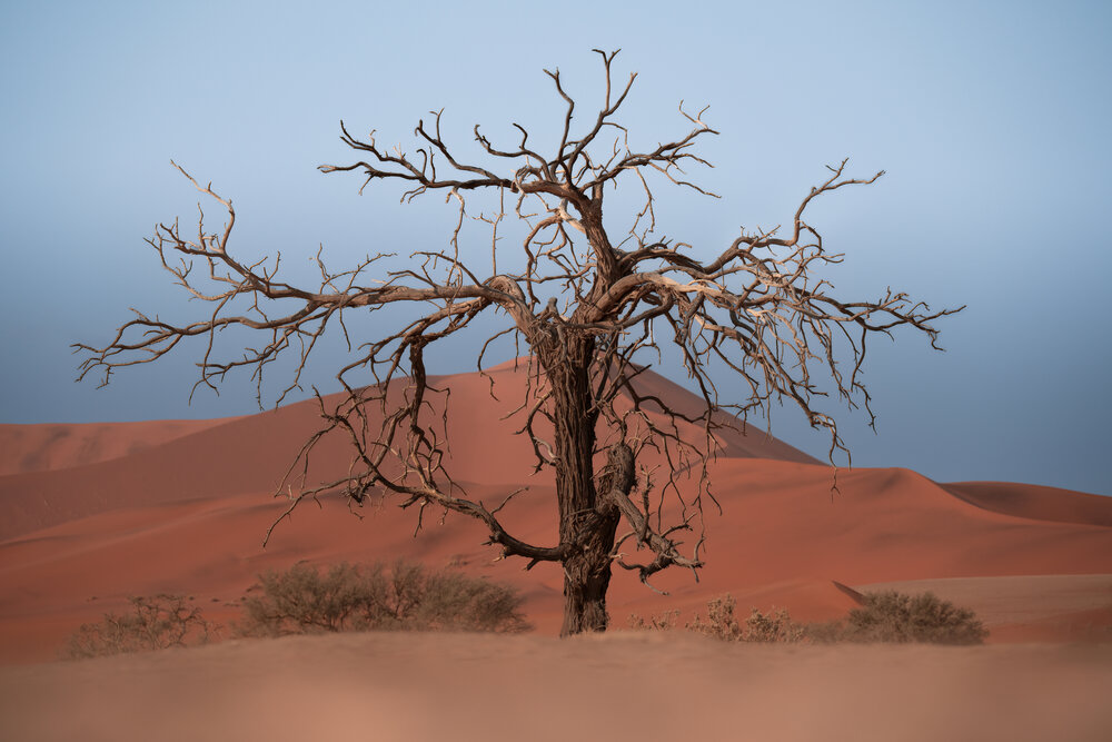 Photograph by Giorgio Castelli