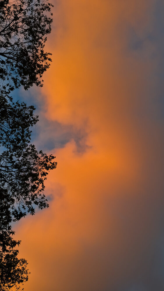 Photograph by Кристина Сысоева