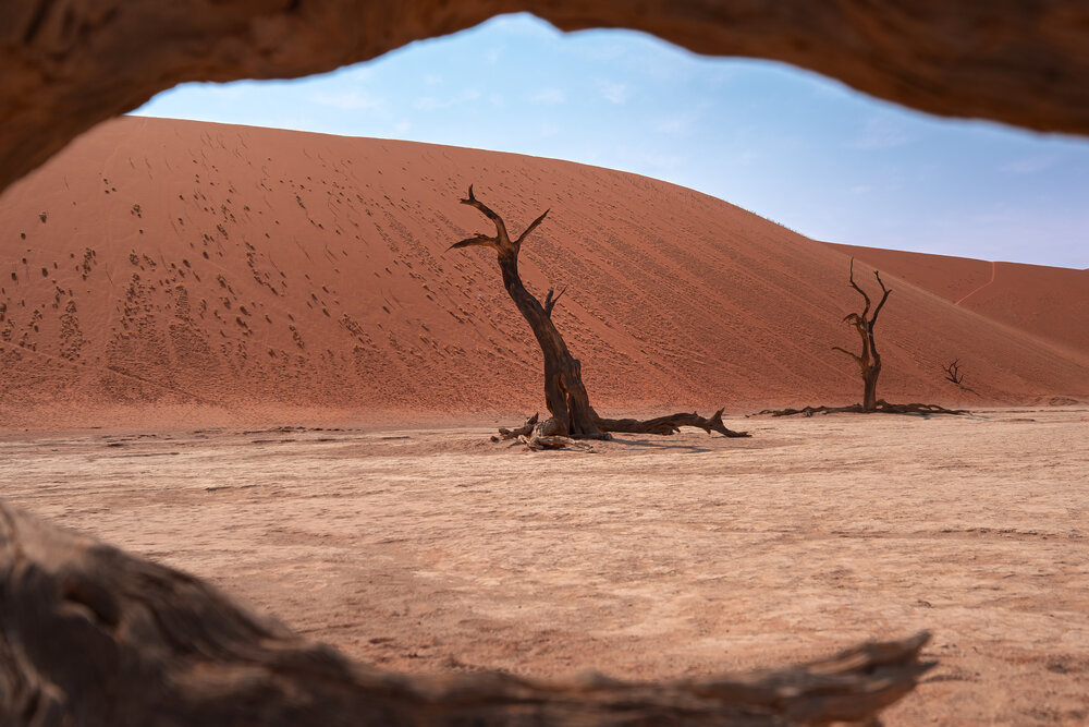 Photograph by Giorgio Castelli