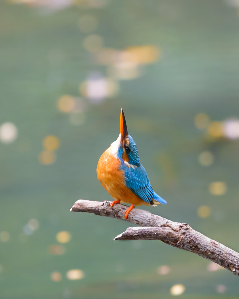 Photograph by Sathishkumar S