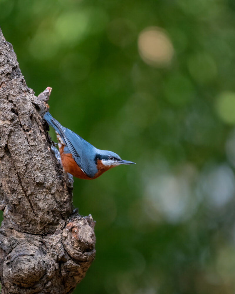 Photograph by Sathishkumar S