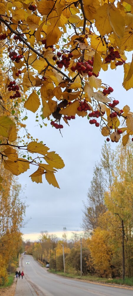 Photograph by Светлана Васильева