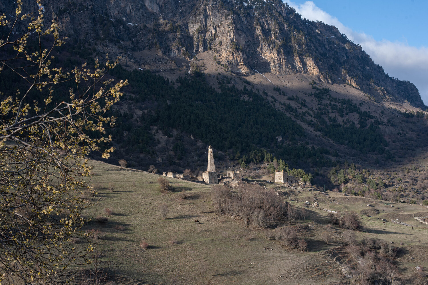 Photo #13980068