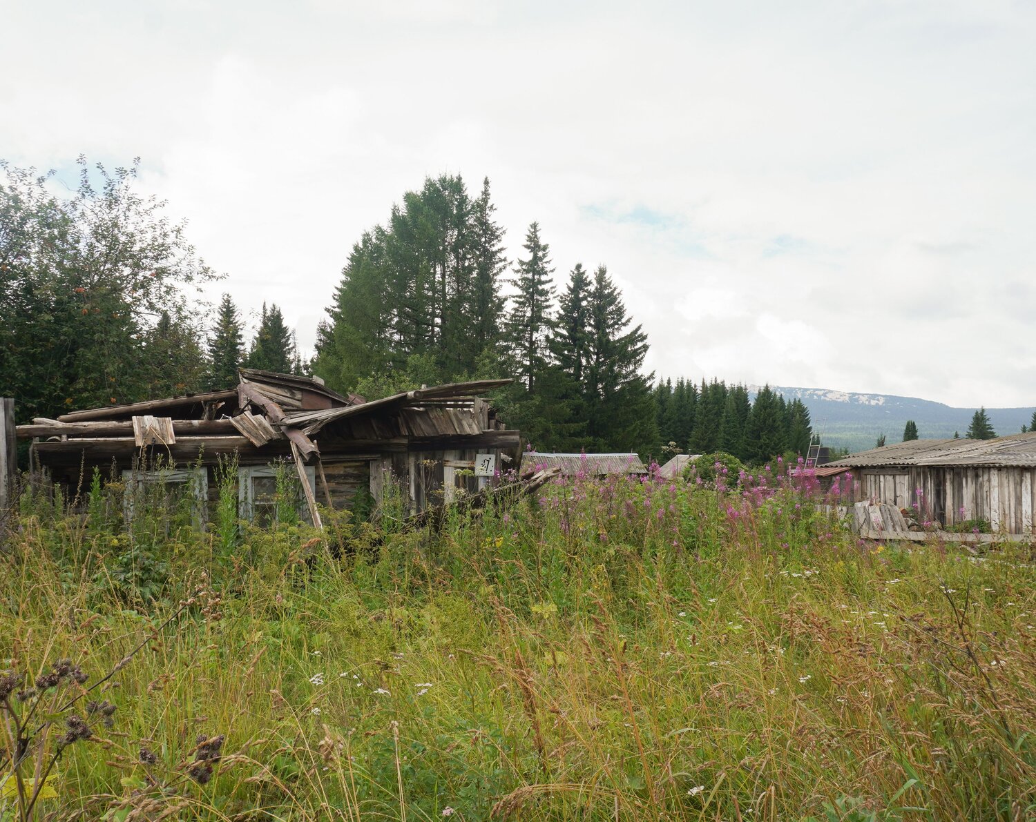 Photo #13980134