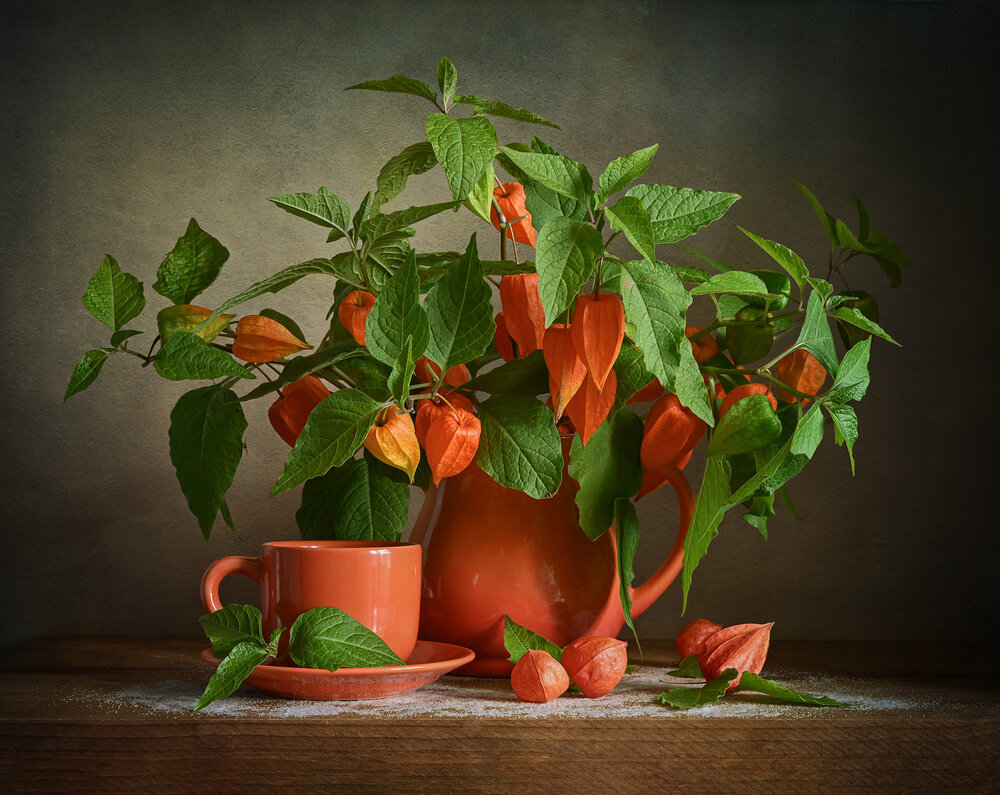 Photograph by Inna Ivanova