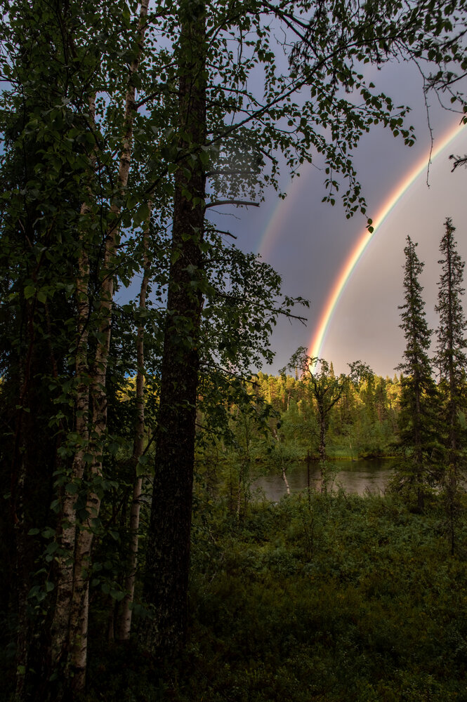 Photo #13980186