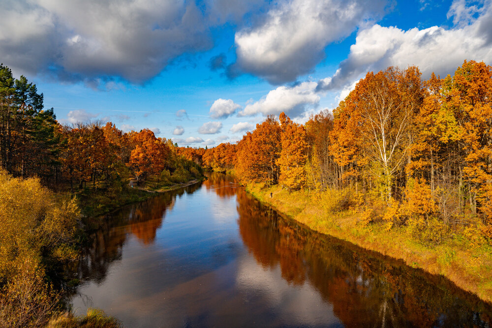 Photograph by Ксения Чемодурова