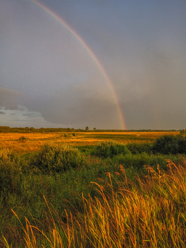 Photograph by АНДРЕЙ АБАКУМОВ