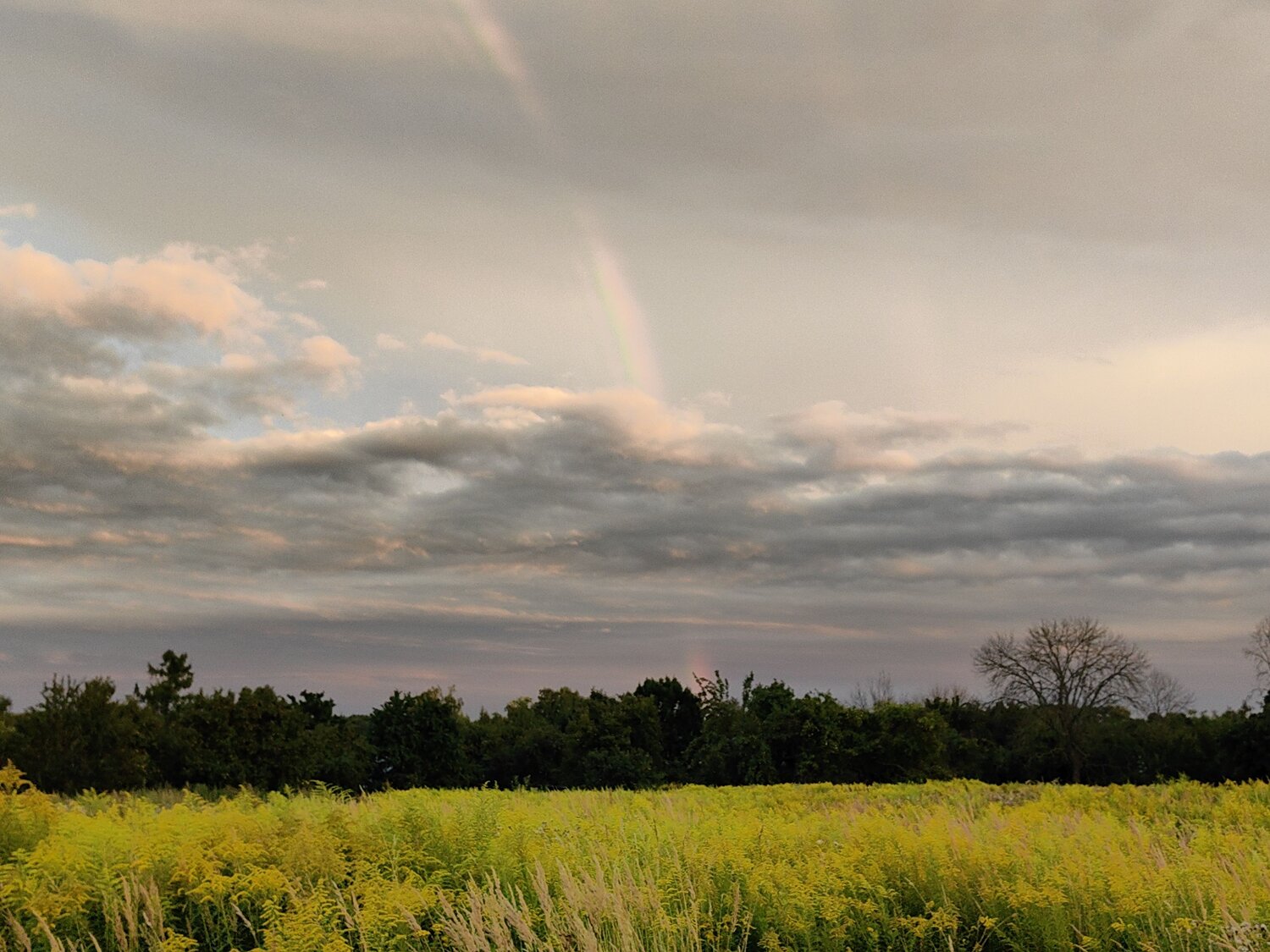 Photo #13980248