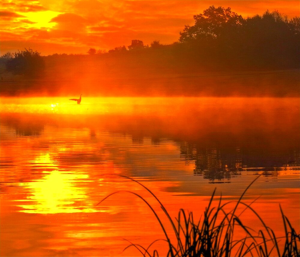 Photograph by Владимир