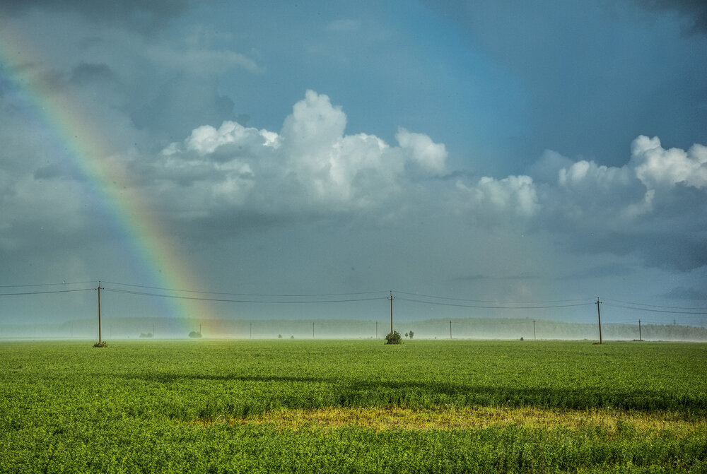 Photograph by Света Назарова