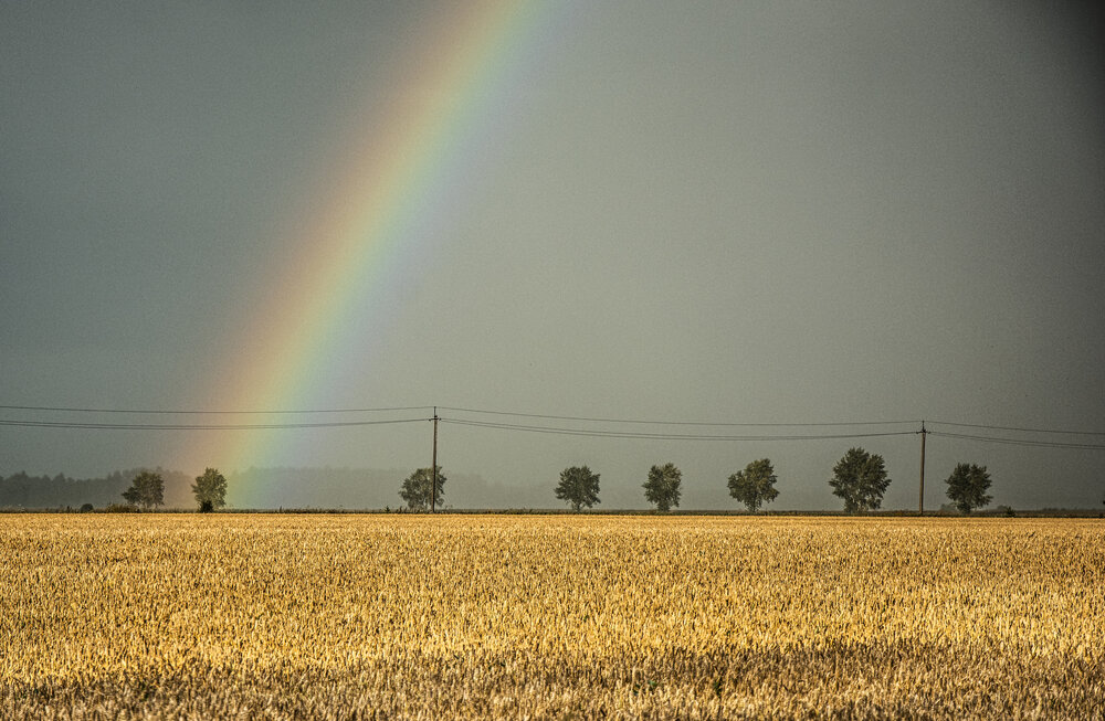 Photograph by Света Назарова