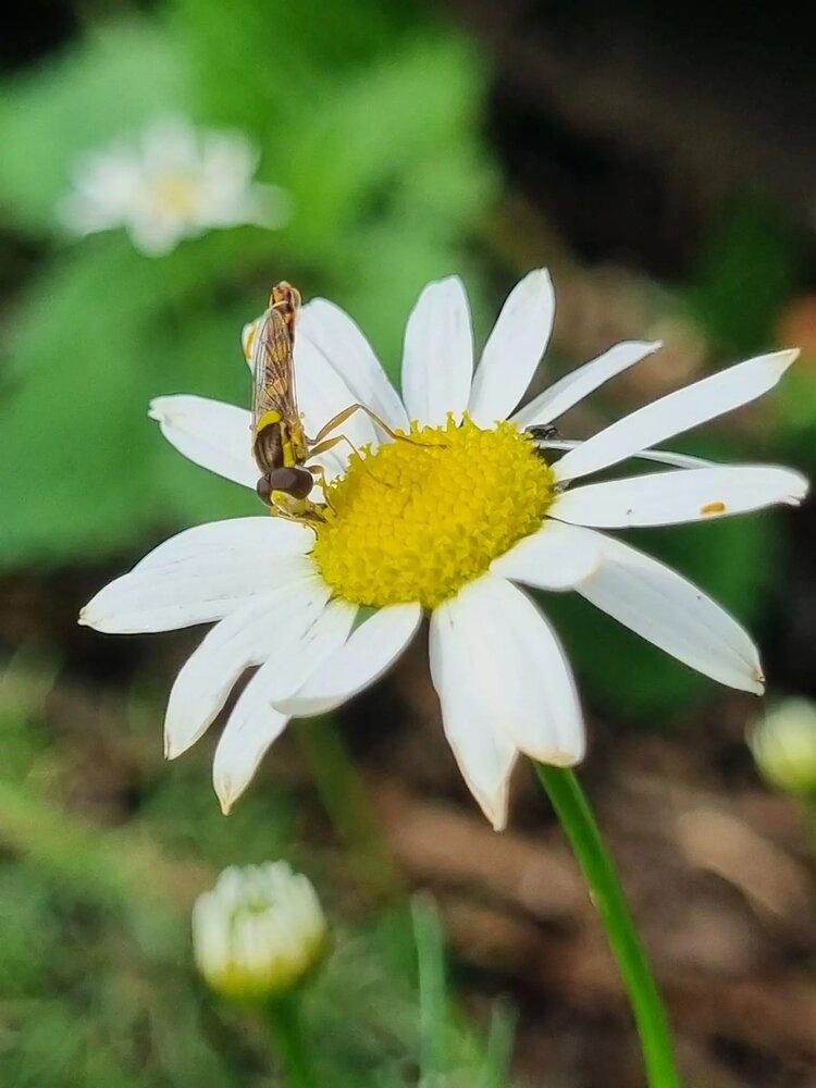 Photograph by Адель Шакиров