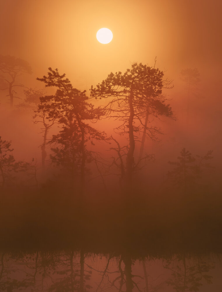 Photograph by Щепотина Татьяна