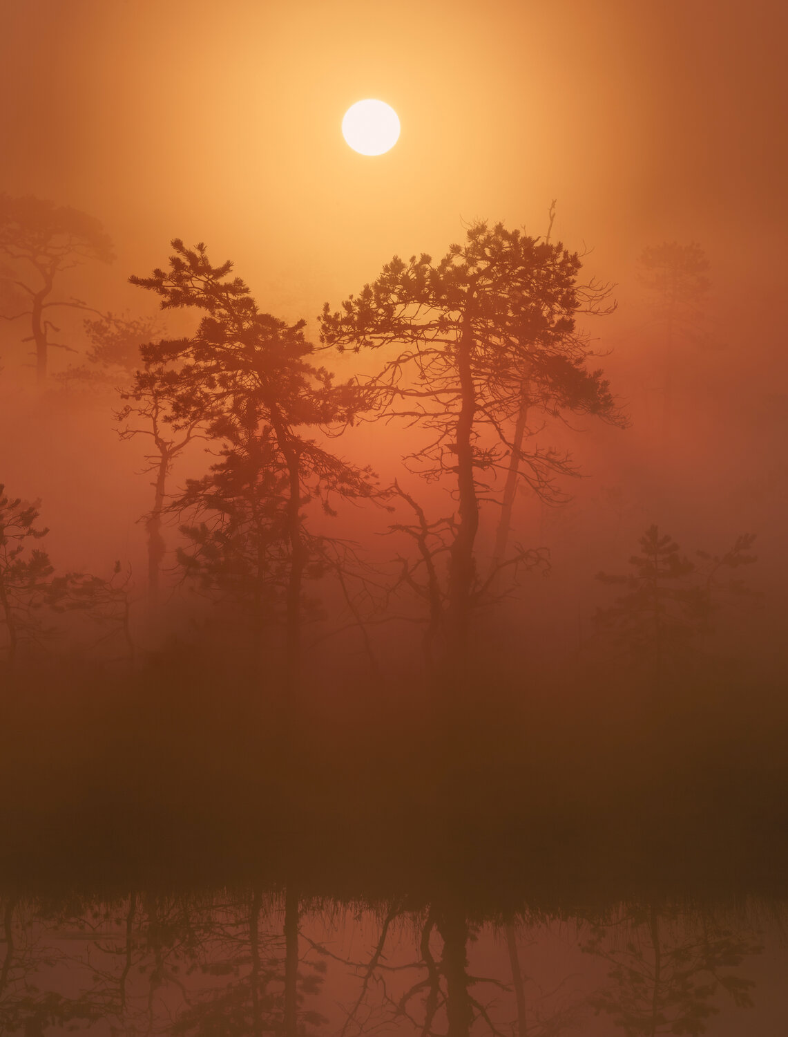 Photo #13980398