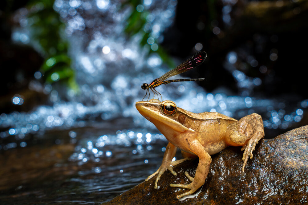 Photograph by Vivek Sundaram