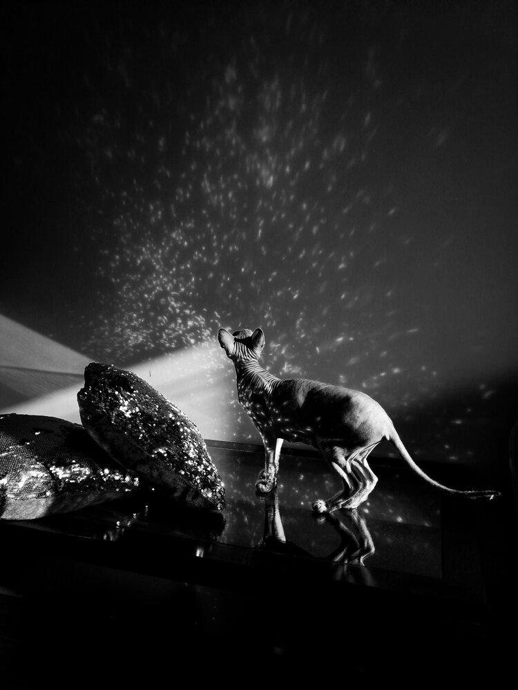 Photograph by Чернякова Анна