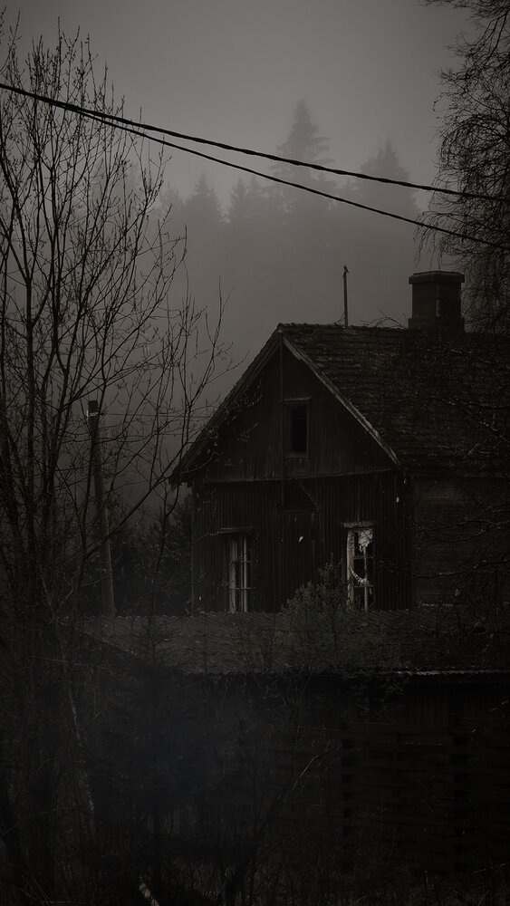 Photograph by Галина Перепечаева