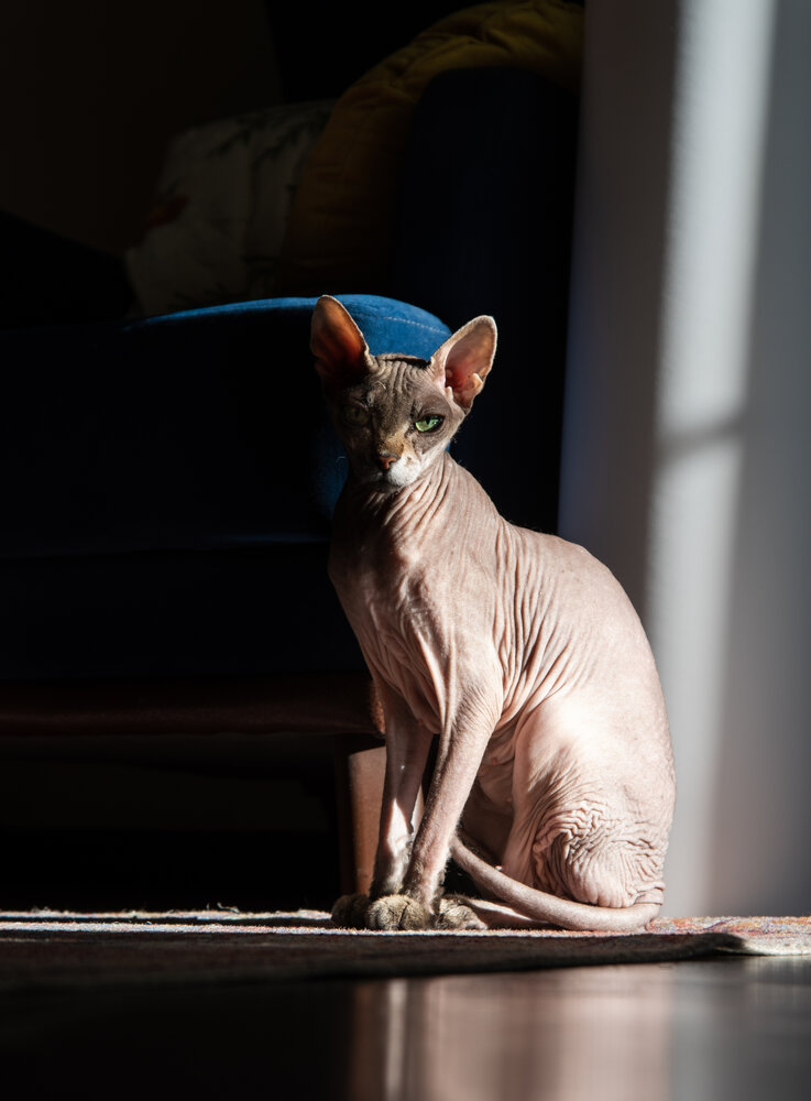 Photograph by Чернякова Анна
