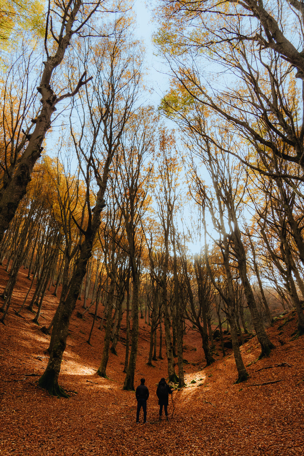 Photo #13980658
