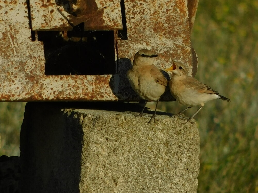 Photograph by Валерия Сопова