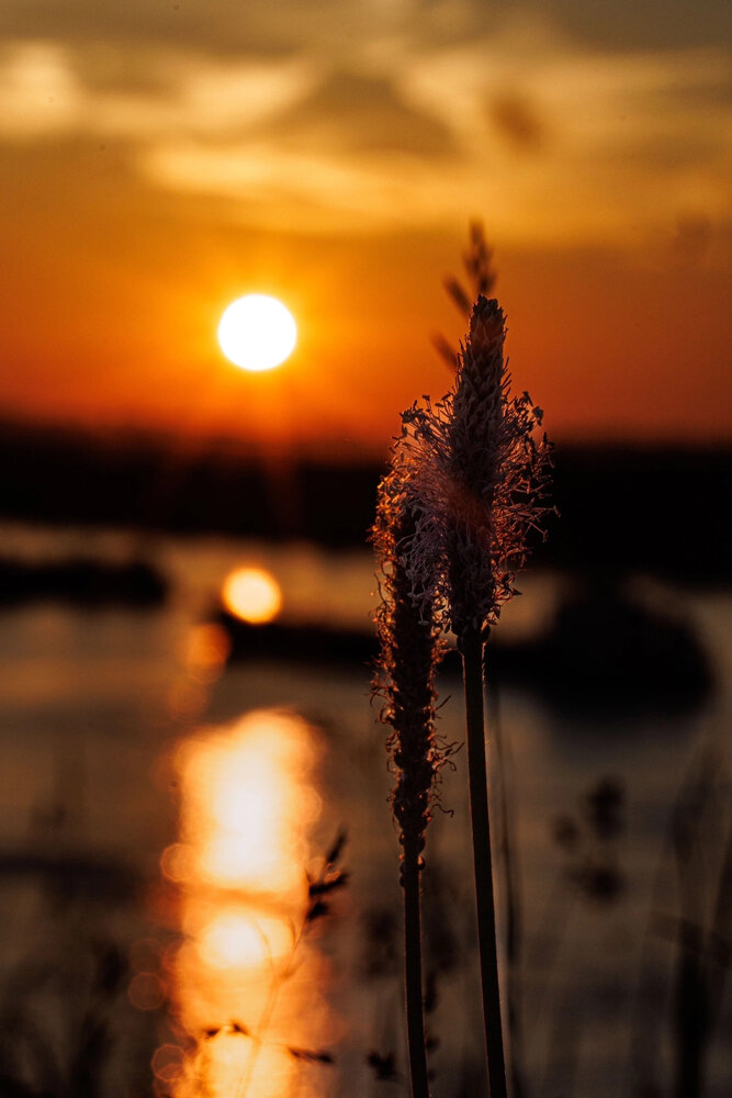 Photograph by Ольга Чибисова