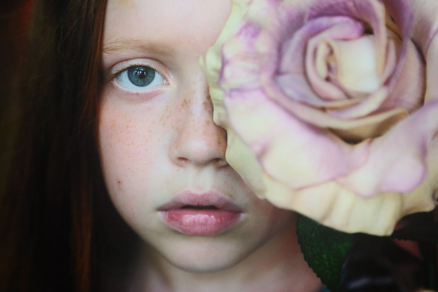 Photo #13980805