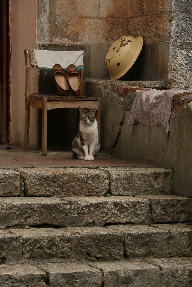 Photograph by Алексей Шалев