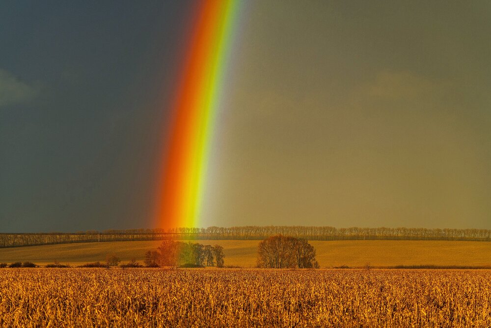 Photograph by Алексей Сиваков