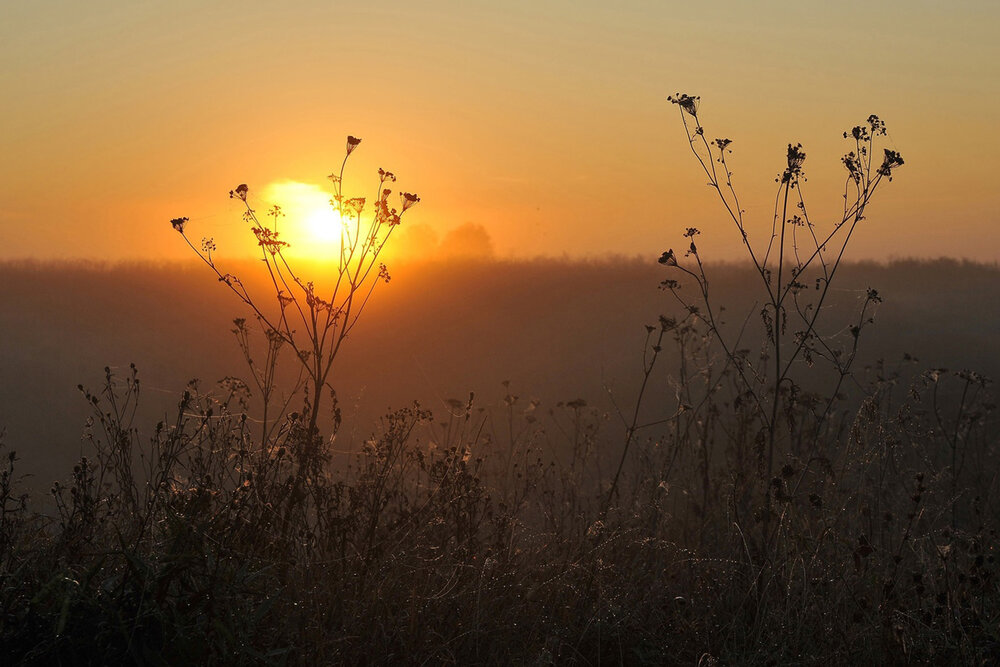 Photograph by Cергей Абакумов