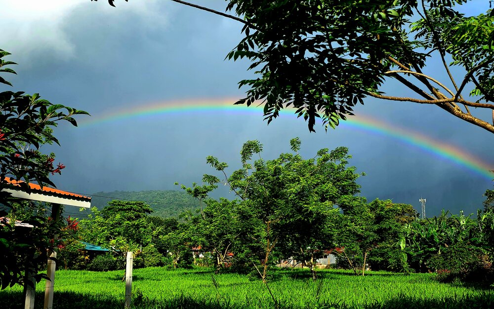 COSTA RICA RAINBOW