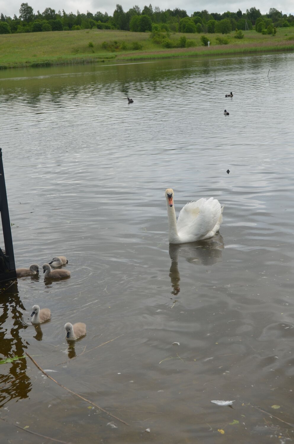 Photo #13980903