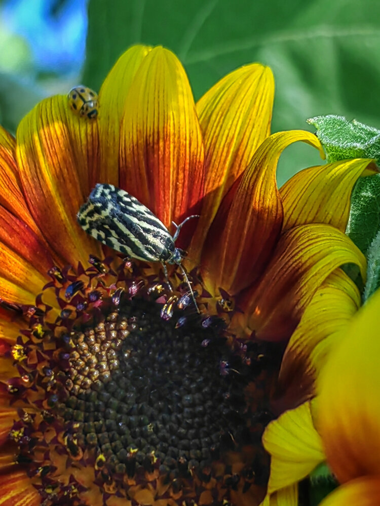 Photograph by Ульяна Кузьмина