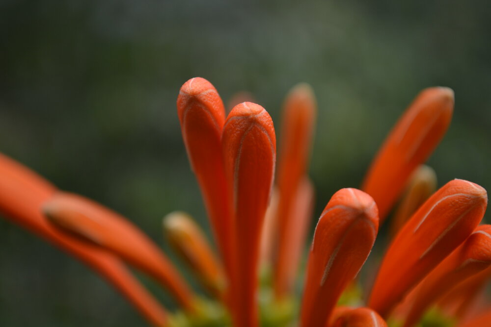 Фотография автора Gildo de Campos Correa