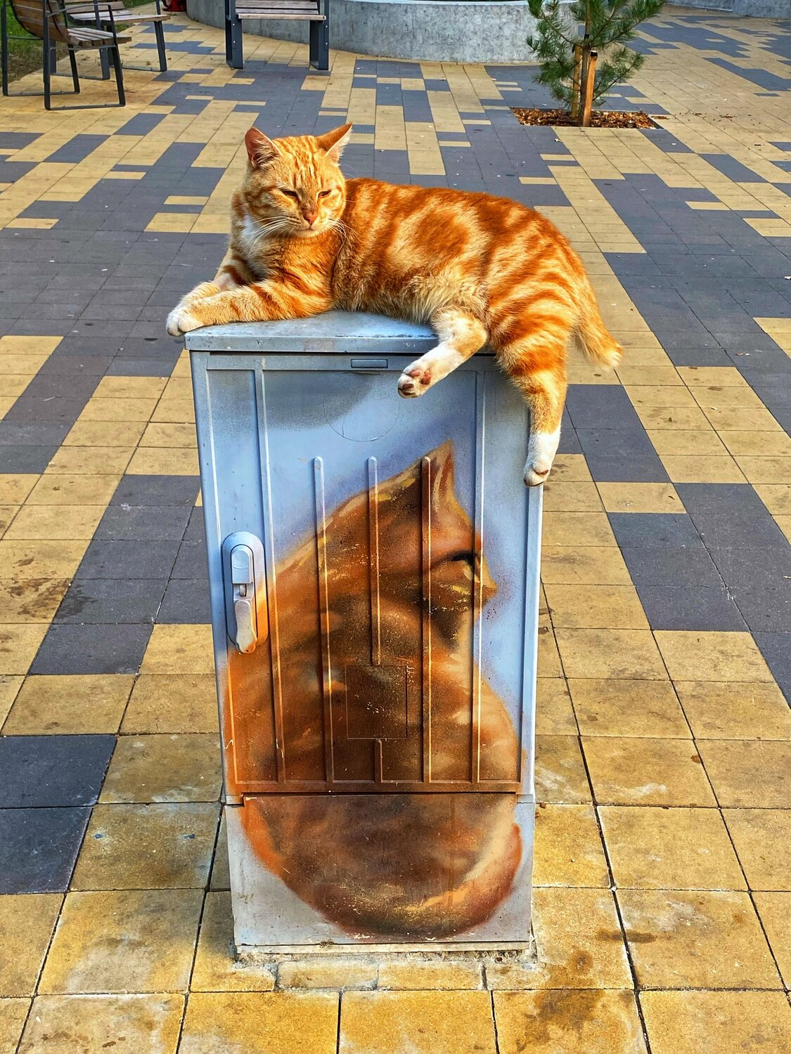 Балтийский рыжий
