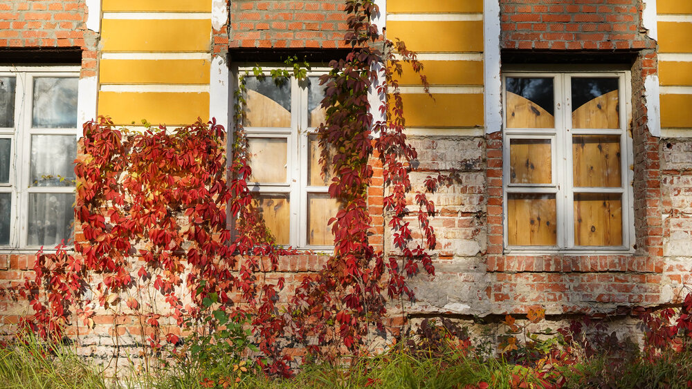 Фотография автора Алена Баулина