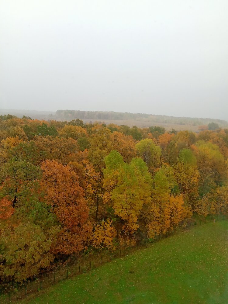 Photograph by Ольга Сергеева