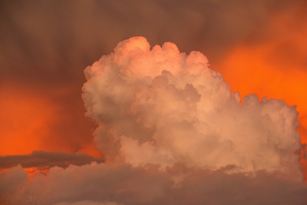 The cloud