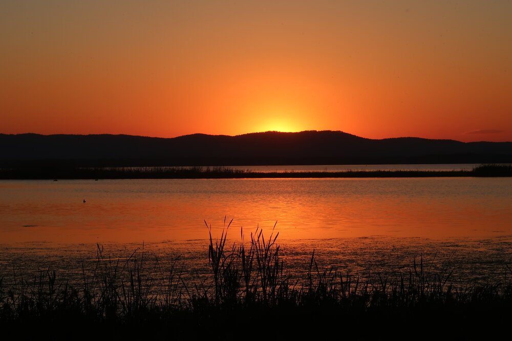 Photograph by Нина