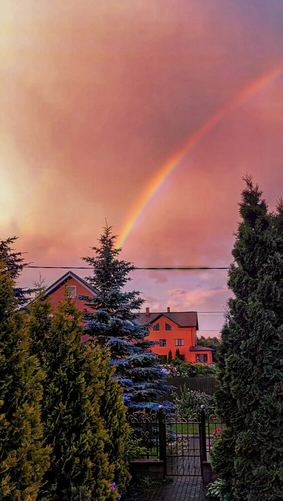 Photograph by Алексей Горин