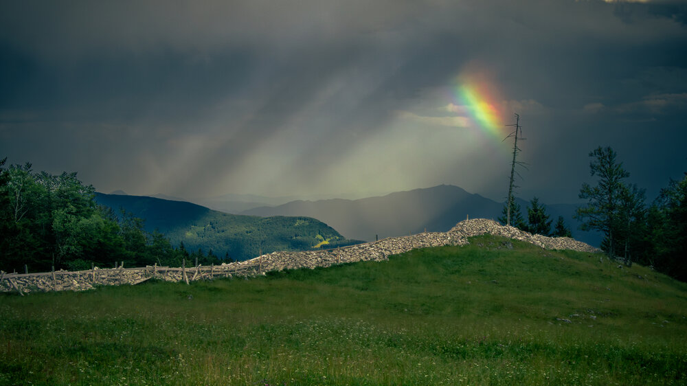 Photograph by Gregor Kobilica