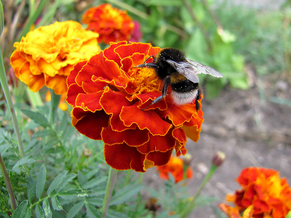 Photograph by Наталья Кузнецова