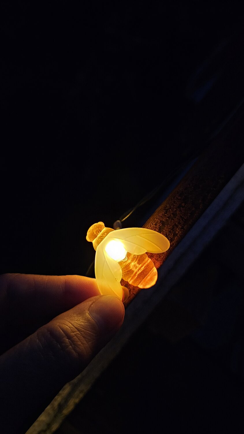 Photo #13981502