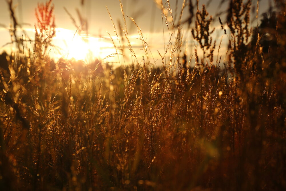 Photograph by Юлия Коннова