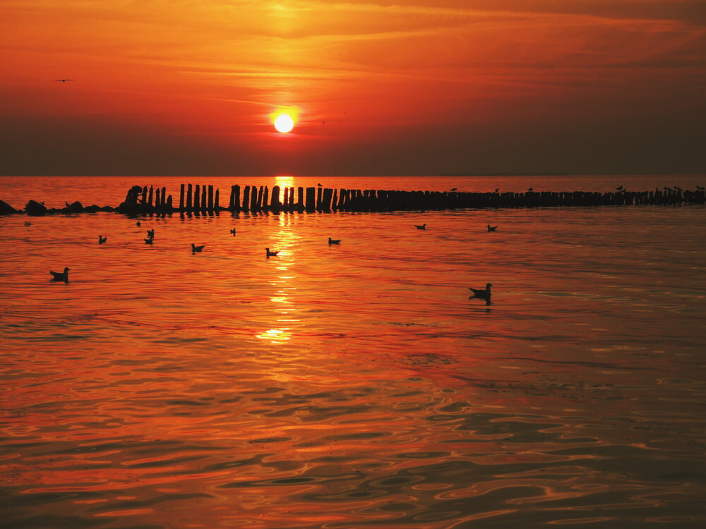 Photograph by Марина Колядина