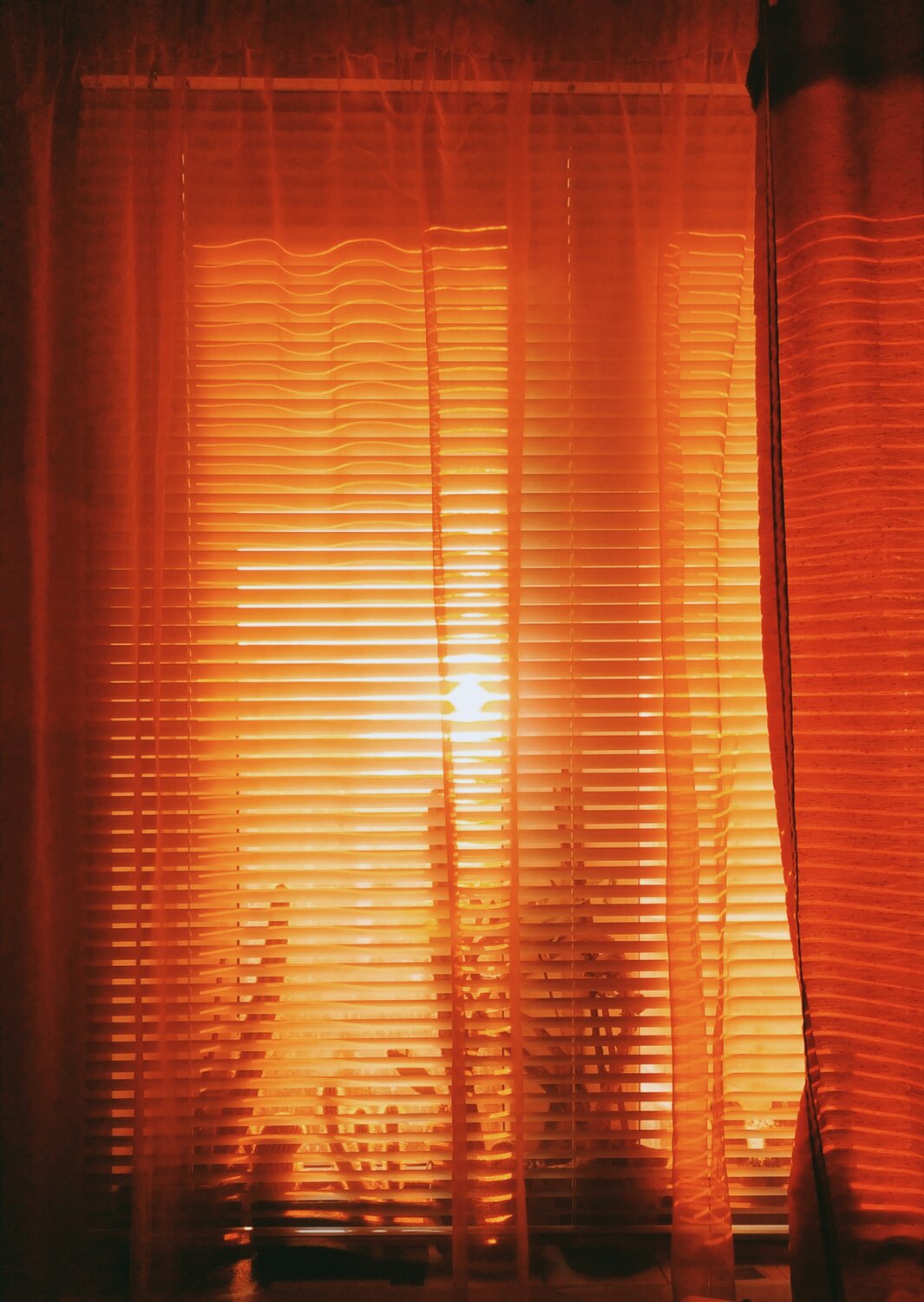 Photo #13981609