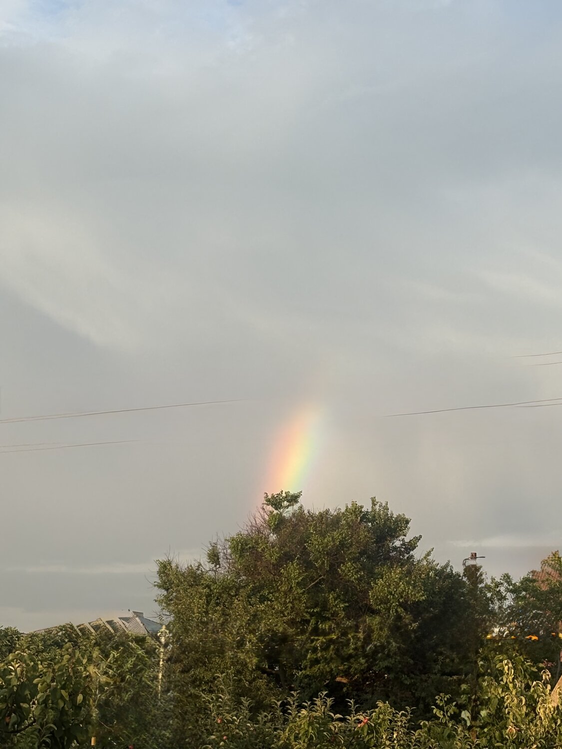 Photo #13981614